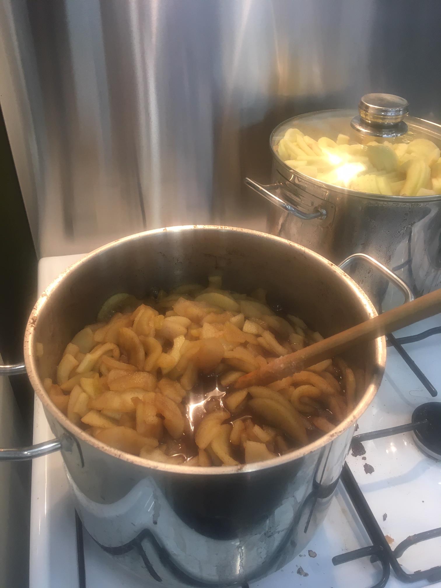 /uploaded_files/media/gallery/1589930915stew apples.jpeg